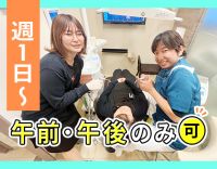 ＜賞与あり＞週1日～！午前のみ・午後のみOK！